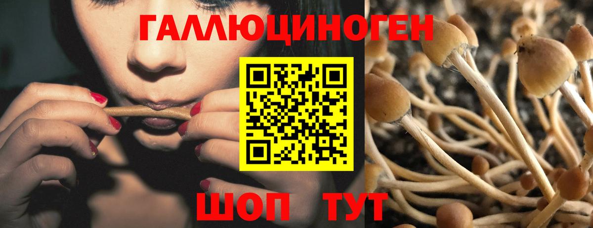 Южно-Сахалинск  что такое   Вход с VPN  Псилоцибиновые грибы Magic Shrooms 